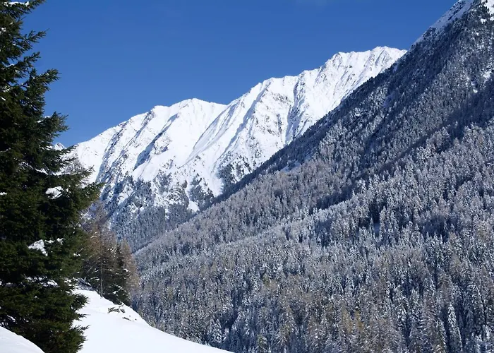 Berghof アパート